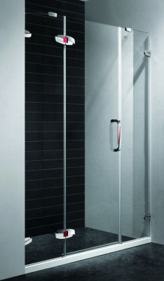 Распашная дверь для душа SA-01 160 RGW фото в интернет-магазине Русалия