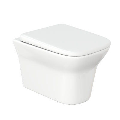 Унитаз AMI Aria подвесной безободковый Ceruttispa CT8780 (500x360x350) фото в интернет-магазине Русалия