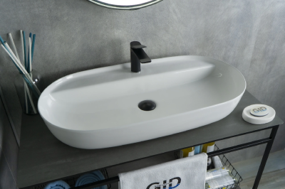 Раковина накладная овальная Simple-N N9347 GID фото в интернет-магазине Русалия