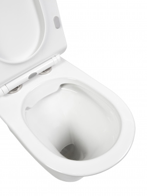 BOND F06-00 Унитаз напольный безободковый белый с сиденьем микролифт фото в интернет-магазине Русалия