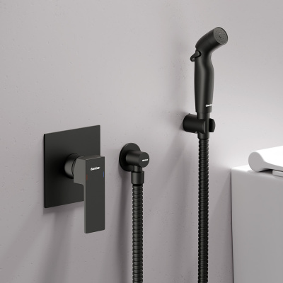 537510300 Gala Смеситель монтируемый в стену с гиг.душем, черный Damixa фото в интернет-магазине Русалия