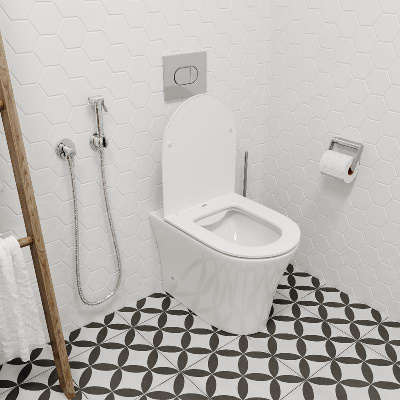 Унитаз ADIGE F приставной безободковый Ceruttispa CT8907 (500x365x405) фото в интернет-магазине Русалия