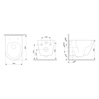 DX22C1700SC Apollo подвесной унитаз без ободка с сиденьем микролифт фото в интернет-магазине Русалия