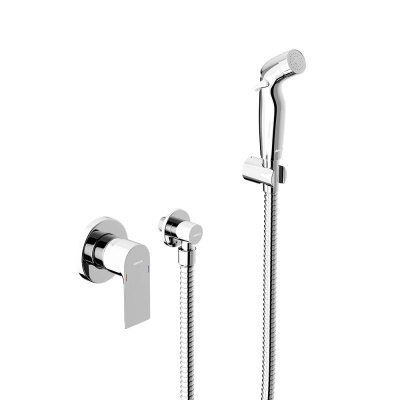 477510000 Apollo Смеситель монтируемый в стену с гиг.душем, хром Damixa фото в интернет-магазине Русалия