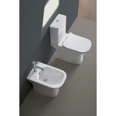 Унитаз безободковый AZ-1038A N Fretta Square с сиденьем микролифт Azario фото в интернет-магазине Русалия