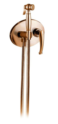 Встраиваемый гигиенический душ AltroBagno Beatrice 060114 ROr AltroBagnoBeatrice060114ROr фото в интернет-магазине Русалия