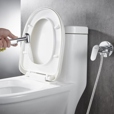 Гигиенический душ Rossinka (RS45-51) фото в интернет-магазине Русалия