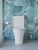 Унитаз BB2801CP-TOR/SC с сиденьем и с бачком BB2801T ACQUA-TOR Belbagno фото в интернет-магазине Русалия