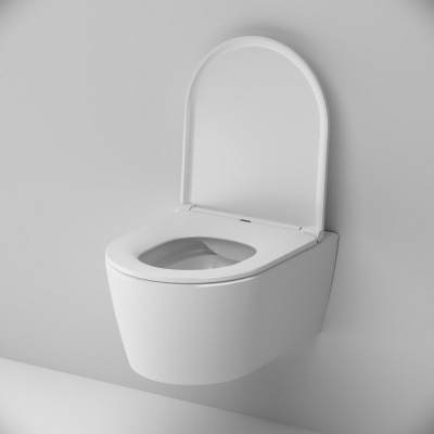 C8F1700SC Func подвесной унитаз 49 см FlashClean с сиденьем микролифт фото в интернет-магазине Русалия