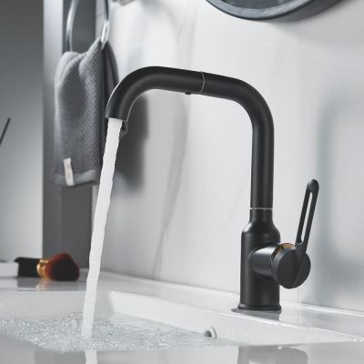 Смеситель для раковины Raffine F201H, черный фото в интернет-магазине Русалия