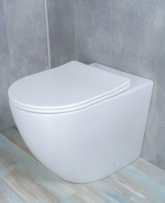 Унитаз приставной Gid TRS-269 62213Y белый 56x36.5x42 фото в интернет-магазине Русалия