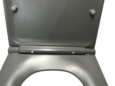 Унитаз подвесной CeramaLux 2197 MG Grey серо-матовый фото в интернет-магазине Русалия