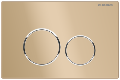 Клавиша для инсталляции CHARUS TM FP.330.51.01 фото в интернет-магазине Русалия