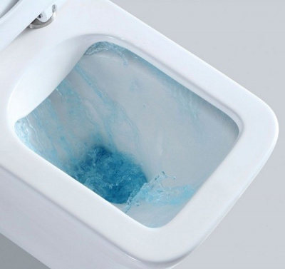 Унитаз напольный NS-2170 безободковый с сиденьем микролифт Ceramalux фото в интернет-магазине Русалия