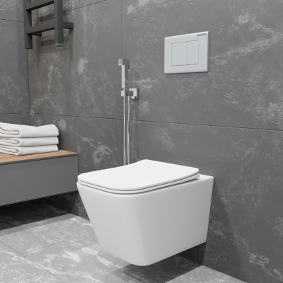 ALVA RIMLESS Безободковый подвесной унитаз EWC700-114W CHARUS фото в интернет-магазине Русалия