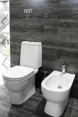 Унитаз Fest  Luxe с сиденьем микролифт FSTSLCC01040622 Sanita Luxe фото в интернет-магазине Русалия