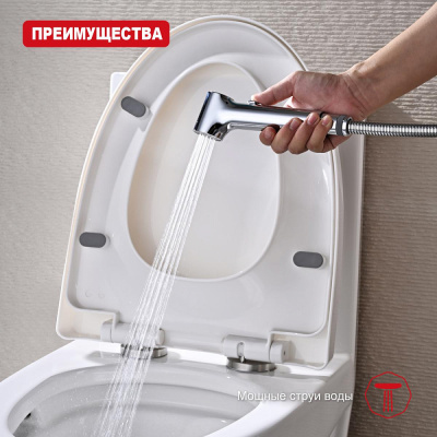 Лейка для гигиенического душа Raglo R460.05, хром фото в интернет-магазине Русалия
