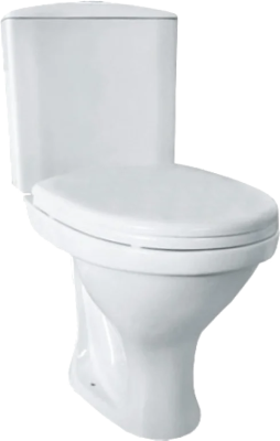 Унитаз - компакт с сиденьем Вита белый 1P2051S0000BF Santeri фото в интернет-магазине Русалия