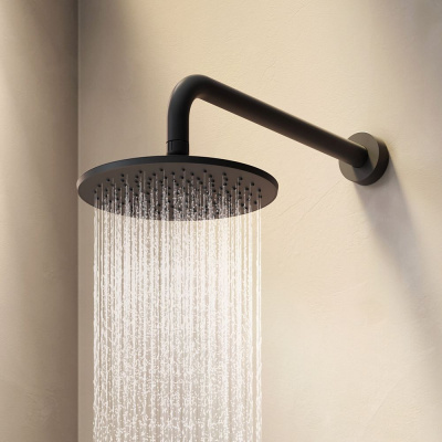 F0590022 Gem верхний душ 220 мм, чёрный, шт. фото в интернет-магазине Русалия