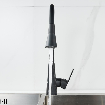 Смеситель для кухни с гибким изливом Raffine F313H-3, черный фото в интернет-магазине Русалия