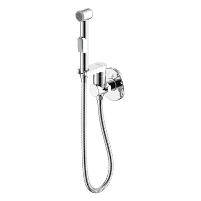 Смеситель с гигиеническим душем встраиваемый Rossinka X (X25-57) фото в интернет-магазине Русалия