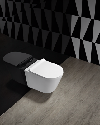 Унитаз ORTLER Aria подвесной безободковый Cerutti SPA CT7182 фото в интернет-магазине Русалия