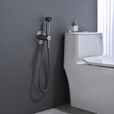 Гигиенический душ со смесителем Rose R235T, оружейная сталь фото в интернет-магазине Русалия