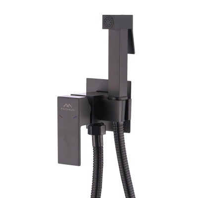 Смеситель встраиваемый с гигиенической лейкой FASHUN сатин (A7506-17) фото в интернет-магазине Русалия