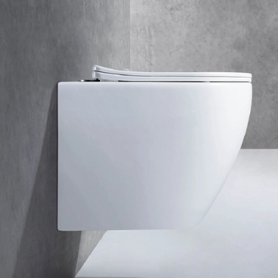 Унитаз подвесной CeramaLux 2196 -1 бело-глянцевый фото в интернет-магазине Русалия