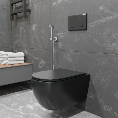 SKANDENBORG RIMLESS Безободковый подвесной унитаз EWC700-125B CHARUS фото в интернет-магазине Русалия