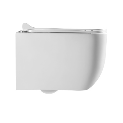 PINTO RIMLESS Безободковый подвесной унитаз EWC700-126W CHARUS фото в интернет-магазине Русалия