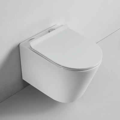 BOND F03-10 Унитаз подвесной безободковый с сиденьем с микролифтом фото в интернет-магазине Русалия