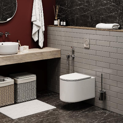 Унитаз TANARO Aria подвесной безободковый  Ceruttispa CT8910 (490x365x355) фото в интернет-магазине Русалия