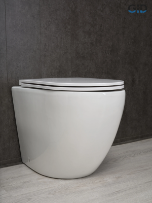 Унитаз приставной Gid TRS-269 62213Y белый 56x36.5x42 фото в интернет-магазине Русалия