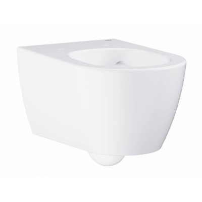 Унитаз подвесной безободковый 3957100H Essence Ceramic Grohe фото в интернет-магазине Русалия