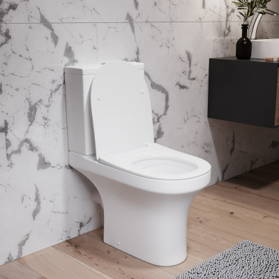 DX35C8600SC Skyline унитаз-компакт безободковый с сиденьем микролифт фото в интернет-магазине Русалия