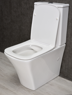 Унитаз напольный Gid Tn2184 62251Y белый 62.5x35x81 фото в интернет-магазине Русалия