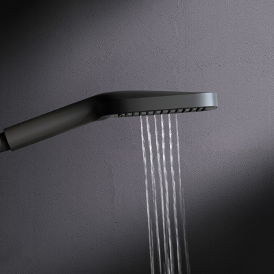 F028F022 Func Ручной душ  3 ф-ции 103х257мм, черный AM.PM фото в интернет-магазине Русалия