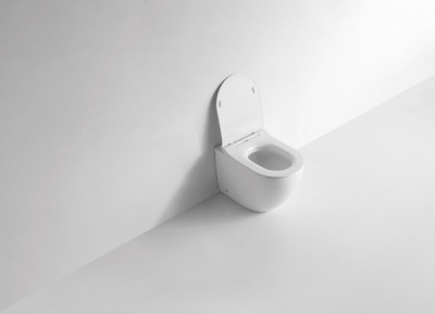 Унитаз приставной CeramaLux 3176 бело-глянцевый фото в интернет-магазине Русалия