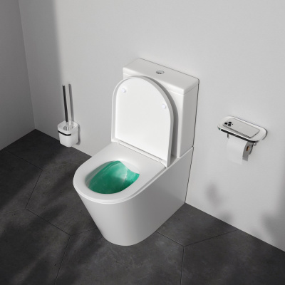 C8F8600SC Func унитаз-компакт безободковый с сиденьем микролифт Am.Pm фото в интернет-магазине Русалия