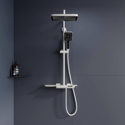 Душевая стойка RGW SP-34W белый фото в интернет-магазине Русалия