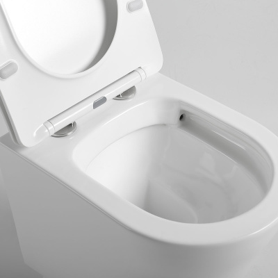 Унитаз подвесной Piatti VT1-11S, цвет белый, ультратонкое soft-close сиденье Vincea фото в интернет-магазине Русалия