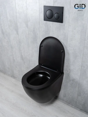 Унитаз подвесной Tornado Gid Tr2122TF-Bm 62261Y черный матовый 49x36x36 фото в интернет-магазине Русалия