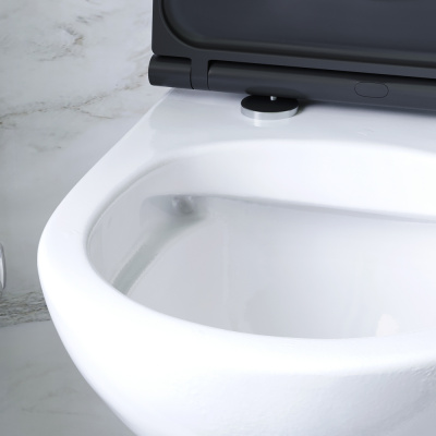 C901700SCmb Gem подвесной унитаз FlashClean с черным матовым сиденьем микролифт фото в интернет-магазине Русалия