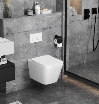 Унитаз MAIELLA Aria MW ТЕРМООБЖИГ (не плёнка) подвесной безободковый белый матовый Ceruttispa CT9164 (500х350х320) фото в интернет-магазине Русалия