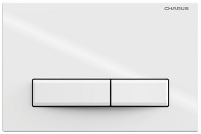 Клавиша для инсталляции CHARUS TM FP.321.11.01 фото в интернет-магазине Русалия