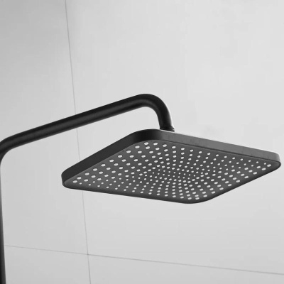 Душевая система Shevanik S9136H, черный фото в интернет-магазине Русалия