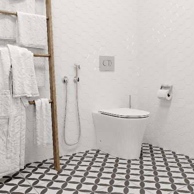 Унитаз ADIGE F приставной безободковый Ceruttispa CT8907 (500x365x405) фото в интернет-магазине Русалия