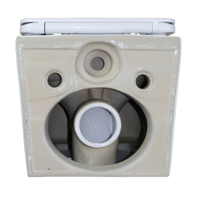 Унитаз подвесной безободковый Delphi 91343 Торнадо с сиденьем микролифт Loranto фото в интернет-магазине Русалия