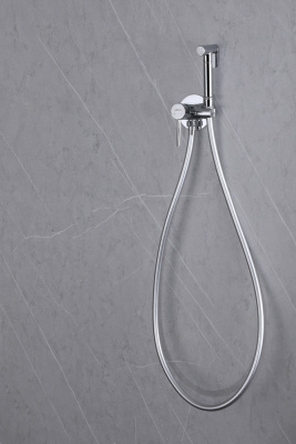 Смеситель ABBER Wasser Kreis AF8125 с гигиеническим душем, хром фото в интернет-магазине Русалия